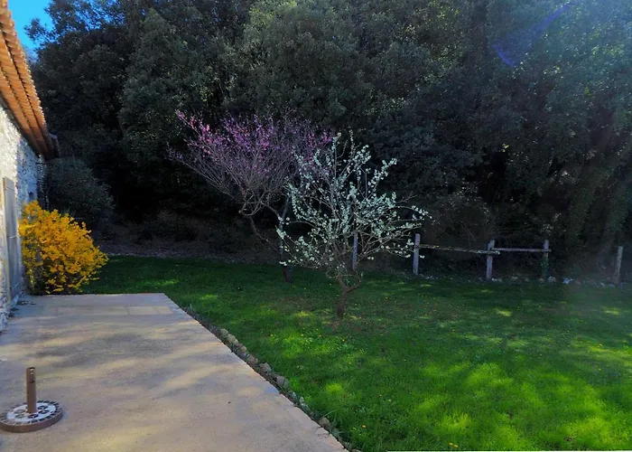 Le De Modestine * Boucoiran-et-Nozières